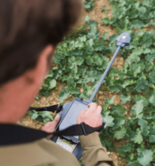 Évaluer la biomasse du colza grâce au N-Pilot afin d’optimiser la fertilisation azotée - © D.R.