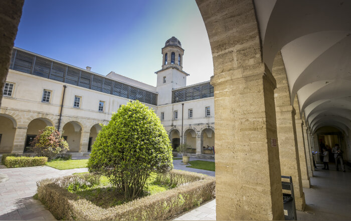 Les enseignants en droit redoutent la généralisation de l’hybridation. - © Conférence des présidents d’université - Université de Montpellier
