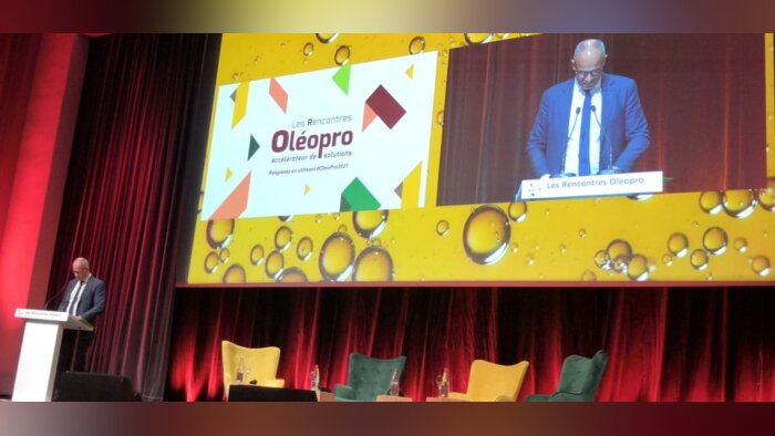 Abeilles, eau, semences,… les producteurs d’oléoprotéagineux interpellent Denormandie