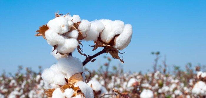 L’ACV mis à mal pour l’affichage environnemental au niveau européen
