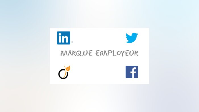 Digital RH - L’impact des réseaux sociaux sur la marque employeur