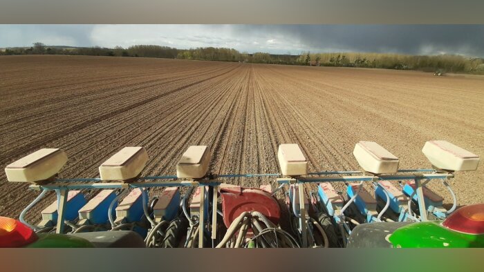 Néonicotinoïdes, dérogation accordée sur betteraves pour 2022