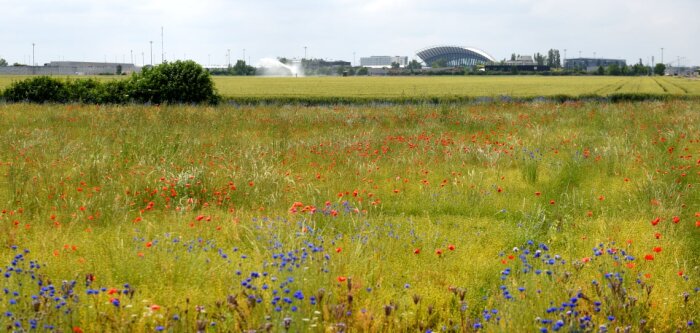 L’une des expérimentation se tiendra sur cette parcelle d’Oxyane, située à proximité de l’aéroport S - © D.R.