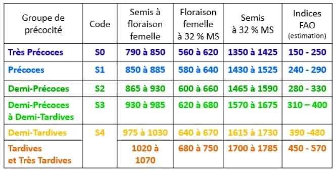 Choisir ses variétés de maïs fourrage : les critères qui comptent - © D.R.