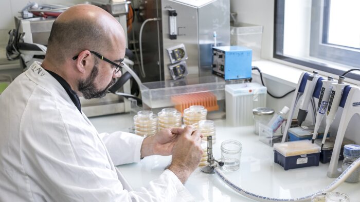 Le label key labs serait attribué à 25 % des unités sous tutelle ou co-tutelle du CNRS. - © France Universités - Université d’Angers