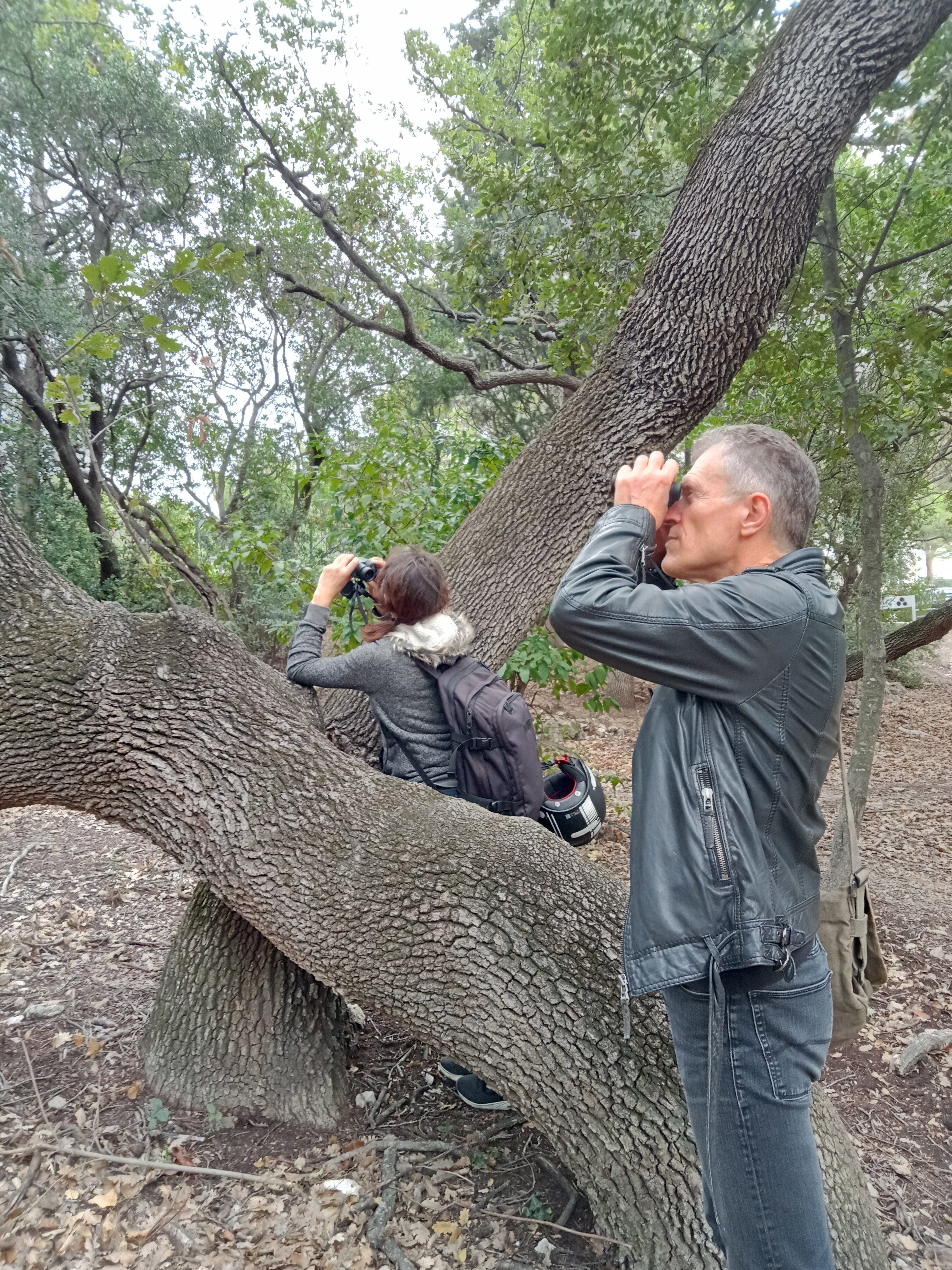 La mission biodiversité réalise trois inventaires d’oiseaux par an sur différents campus d’Aix-Marseille Université. - © IC / Campus Matin
