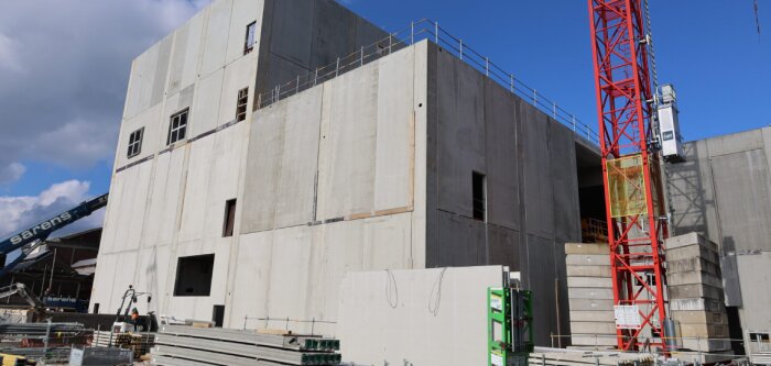 Avec Prolein et Olatein, Avril veut structurer la filière française de colza