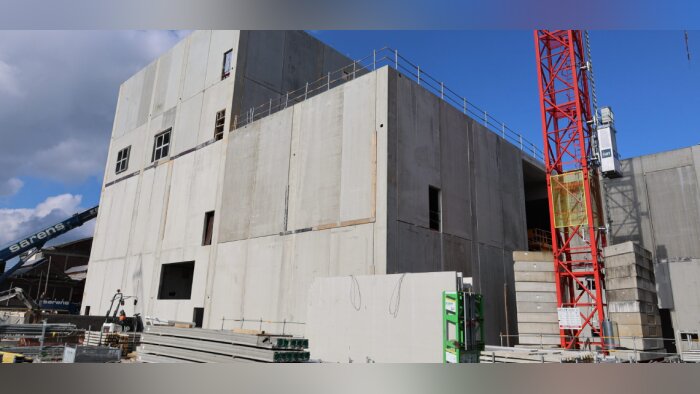 Avec Prolein et Olatein, Avril veut structurer la filière française de colza