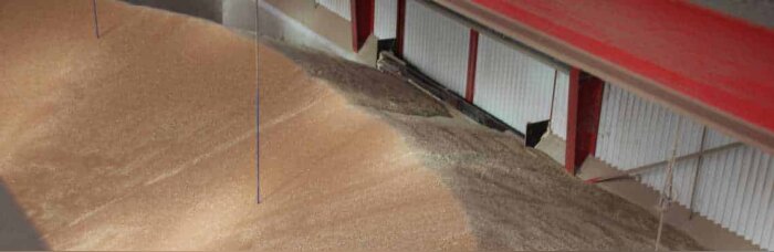 Insecticides de stockage : les alternatives mises en avant dans les CEPP