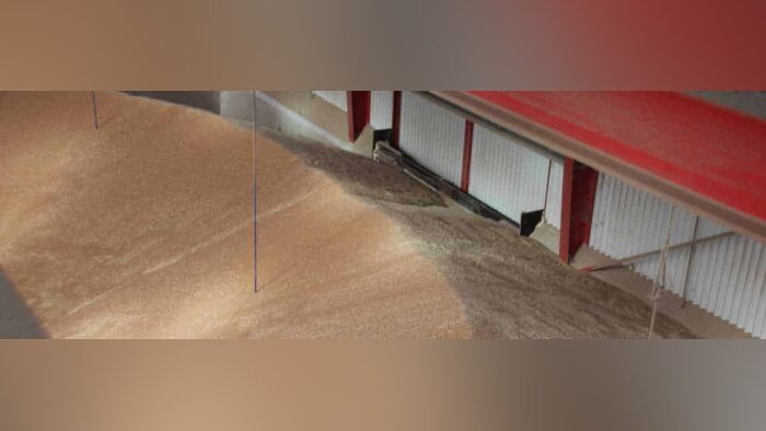 Insecticides de stockage : les alternatives mises en avant dans les CEPP