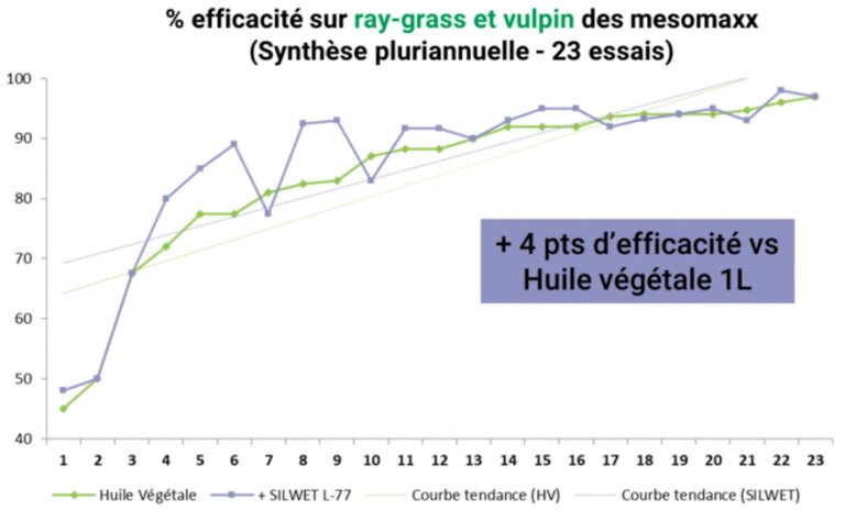 Comment améliorer les performances des herbicides ALS ? - © D.R.