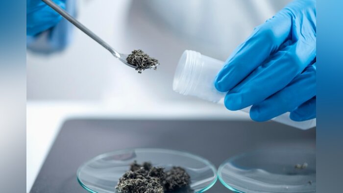 Cuivre en agriculture : les filières bio, premières touchées par une éventuelle restriction