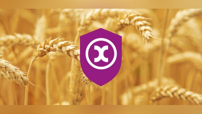 xarvio® FIELD MANAGER : l’atout positionnement dans une campagne sans précédent