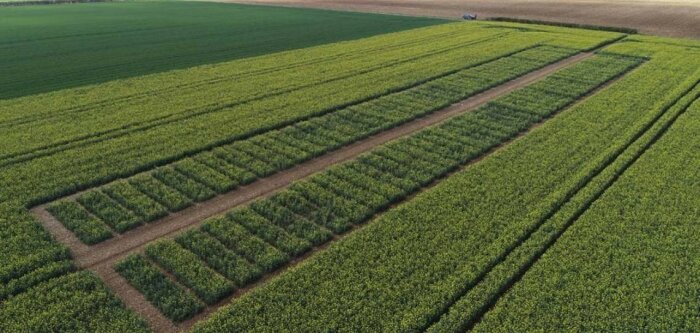Syngenta déploie une nouvelle méthodologie pour évaluer les biostimulants