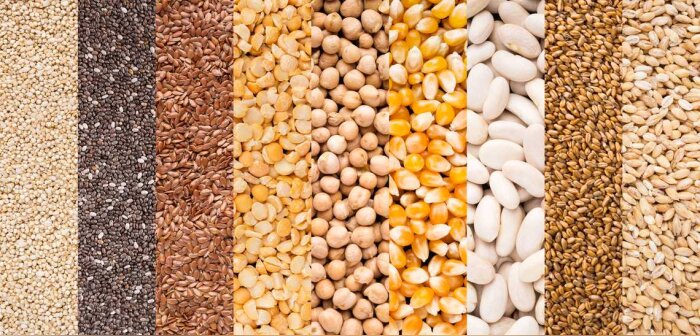Production de semences, LCA, FNA et Semae alertent sur la hausse des charges
