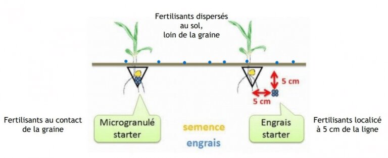 La fertilisation localisée avec les microgranulés - © D.R.