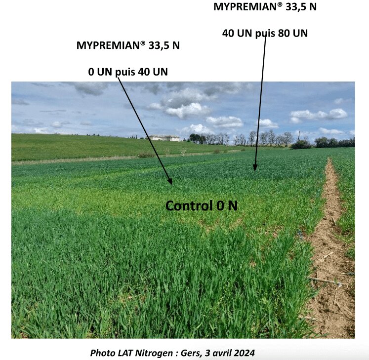 Fertilisation des céréales : quels enseignements de la récolte 2024 ? - © D.R.