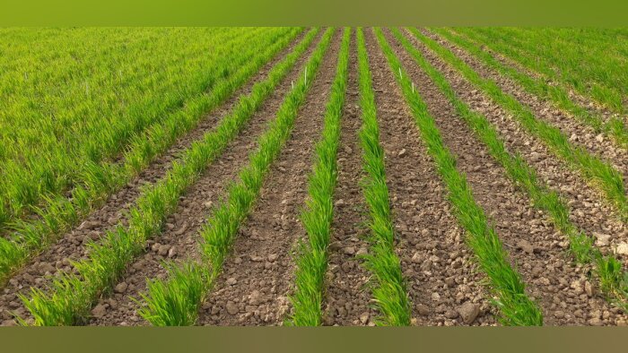 La Scara et la Chambre d’agriculture de l’Aube créent une association sur le bio
