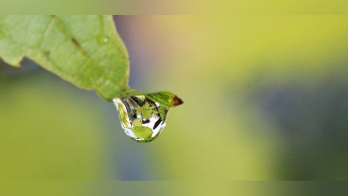 LE 846 optimise l’efficacité des fongicides céréales