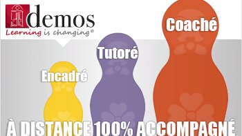 Tribune - « Valoriser l’individu pour être plus efficace collectivement » - © D.R.