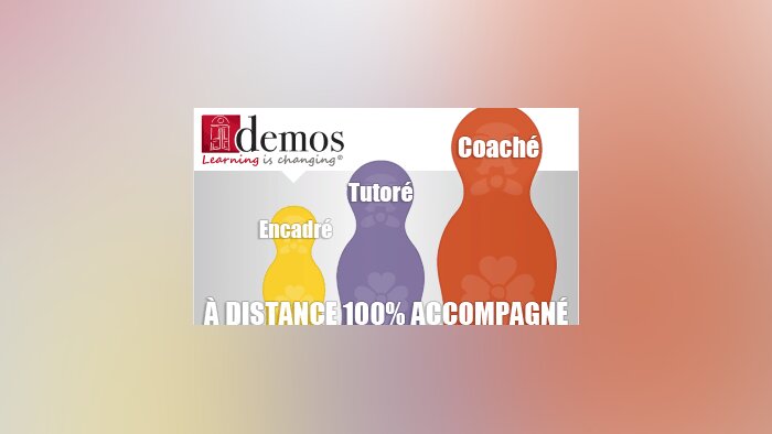 Tribune - « Valoriser l’individu pour être plus efficace collectivement »