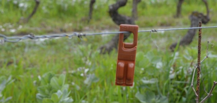 Les projets du programme « Cultiver et protéger autrement » sont dévoilés