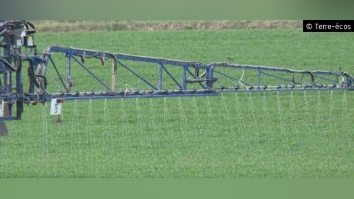 641 M€ dépensés en 2019 pour réduire les phytos