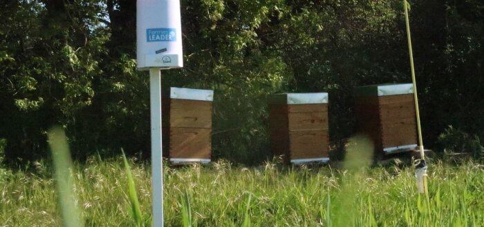 Photo InVivo - © D.R.