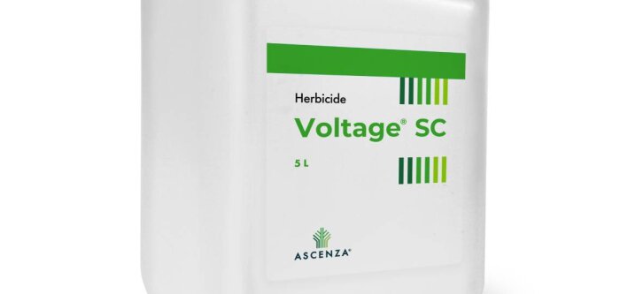 Ascenza lance une alternative pour le désherbage des céréales