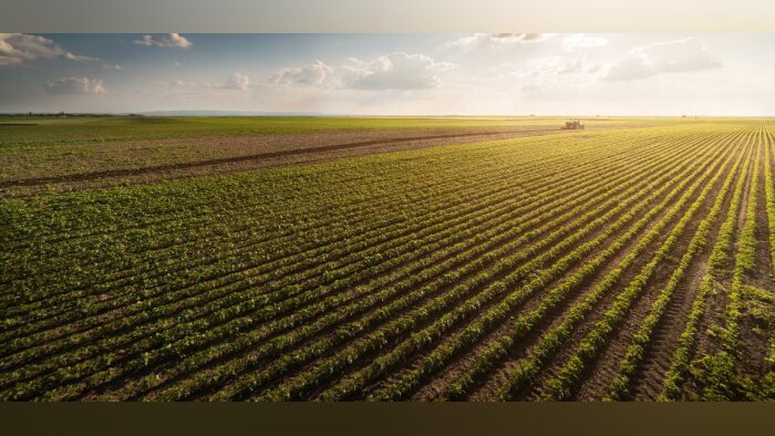 Comprendre la résistance aux herbicides pour mieux agir