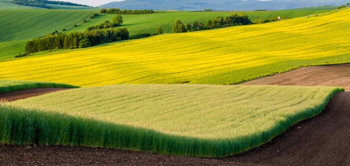 Biosolutions : deux ruptures technologiques en grandes cultures