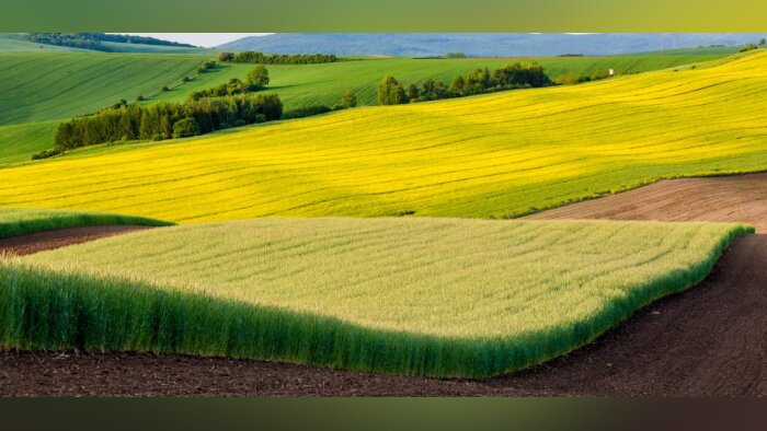 Biosolutions en grandes cultures, leviers de la transition agroécologique