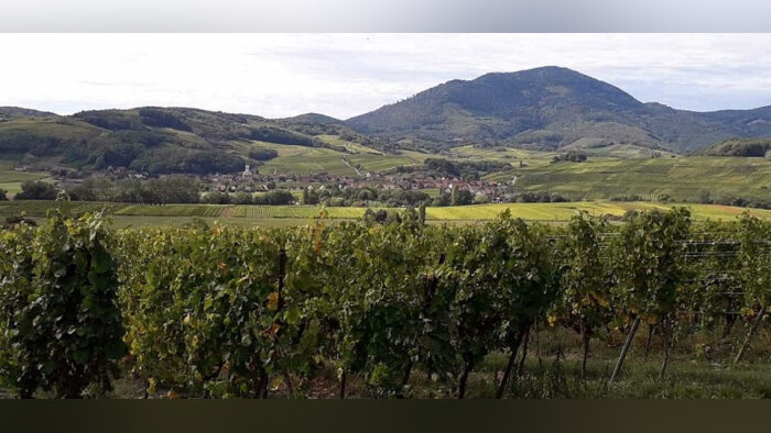 Développement durable, Corteva Agriscience se dote d’une feuille de route 2030
