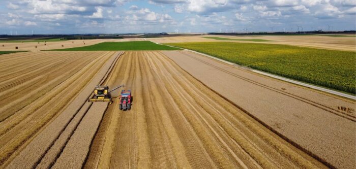 Moisson 2022, des rendements attendus en baisse pour les céréales à paille