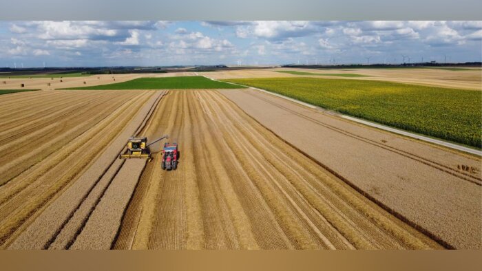 Moisson 2022, des rendements attendus en baisse pour les céréales à paille