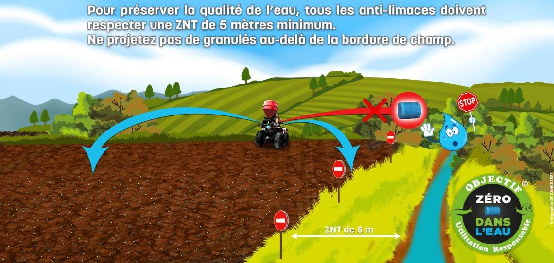 Zéro dans l’eau, une démarche au service des bonnes pratiques anti-limaces - © D.R.