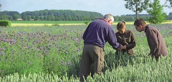 Le Conseil Supérieur d’Orientation et de Coordination de l’Économie Agricole et Alimentaire (CSO) a - © D.R.