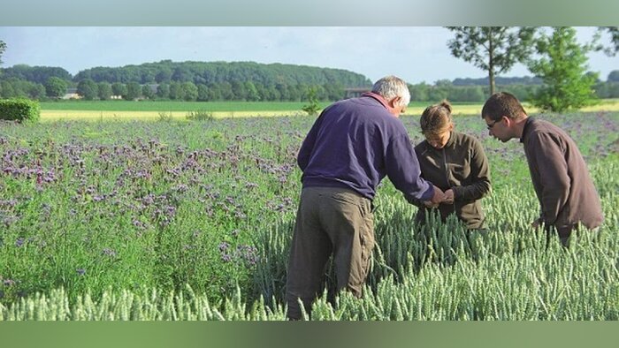 Le Conseil Supérieur d’Orientation et de Coordination de l’Économie Agricole et Alimentaire (CSO) a - © D.R.