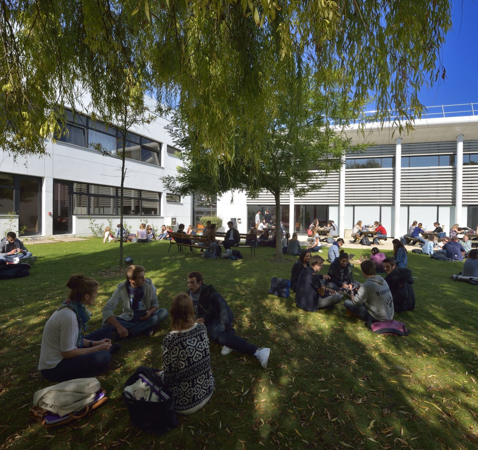 Les enseignants-chercheurs de Neoma sont rattachés au campus de Reims ou de Rouen. - © Neoma