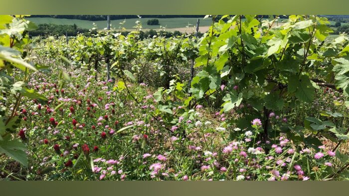 Glyphosate, insatisfaction générale