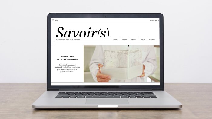 Le site Savoir(s) se positionne plus fortement sur une cible externe - © Savoir(s)