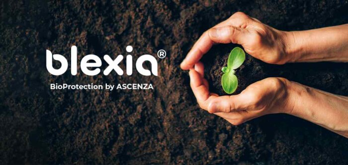 Avec Blexia, Ascenza construit la bioprotection pour toutes les agricultures