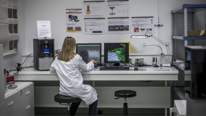 La charge administrative mobiliserait 20 % à 30 % du temps des chercheurs. - © France Universités - Université d’Angers