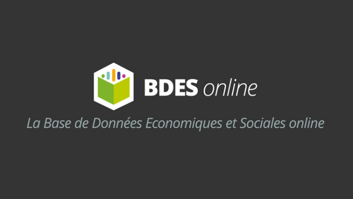 BDES : les réponses à vos questions suite au CSE