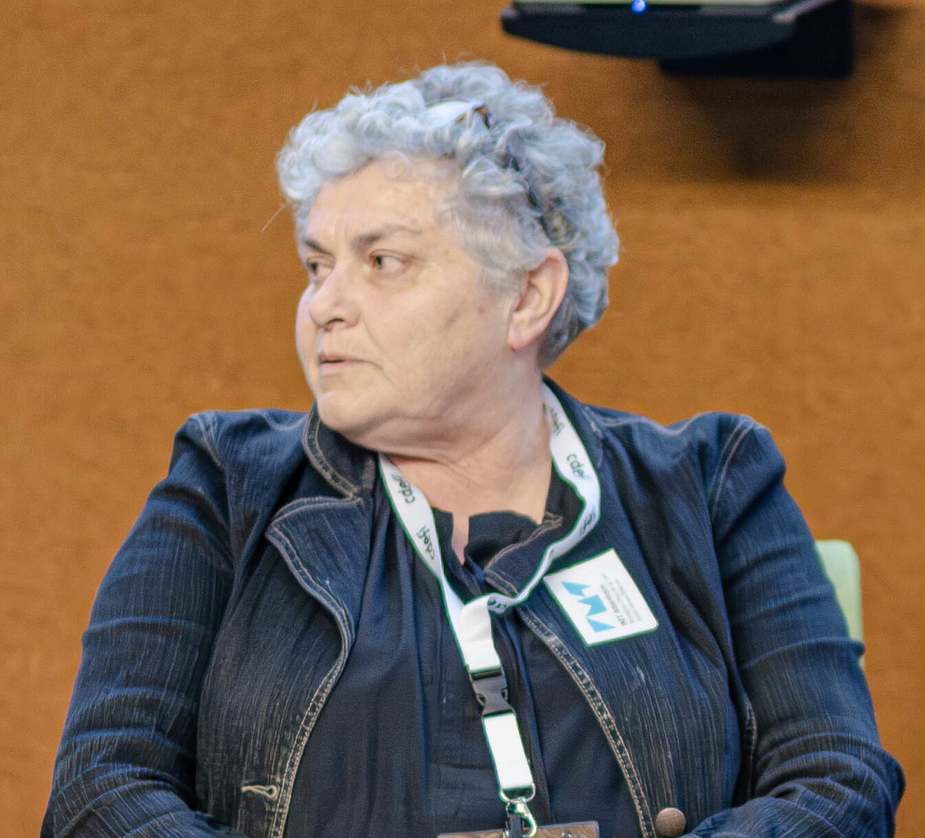 Marie-Noëlle Chalaye est directrice de l’IAE de Brest - Bretagne INP. - © Cdefi