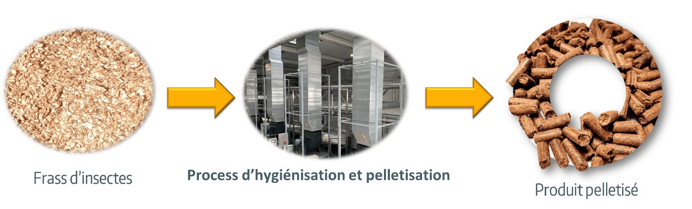 Laphrassea : un engrais organique innovant à base de frass d’insectes ! - © D.R.