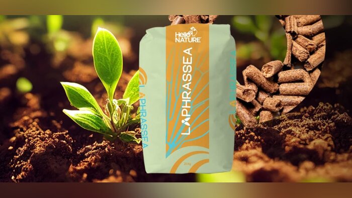 Laphrassea : un engrais organique innovant à base de frass d’insectes !
