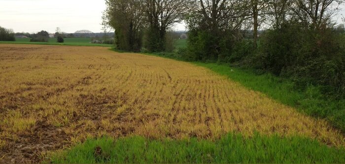 Sortie du glyphosate, Julien Denormandie annonce un renforcement de l’accompagnement