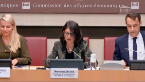 Loi « Contraintes » : vote à l’unanimité pour l’examen de la pétition « Non à la Loi Duplomb » (AN)