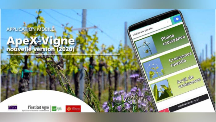 Nouvelle version de l’application ApeX-Vigne